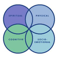 Wellness Domains